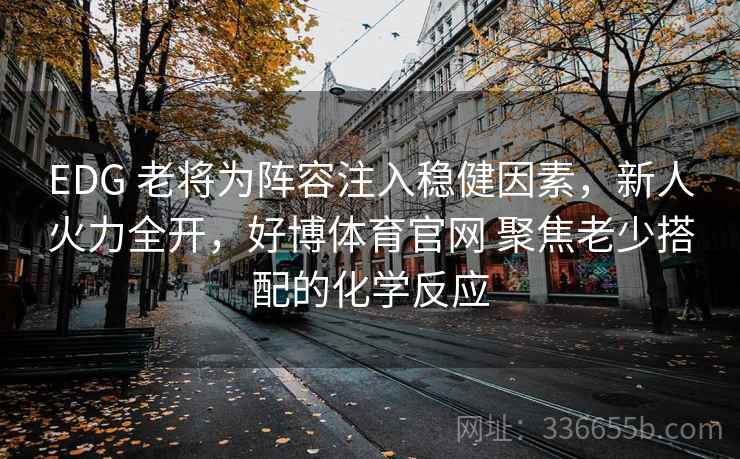 EDG 老将为阵容注入稳健因素，新人火力全开，好博体育官网 聚焦老少搭配的化学反应
