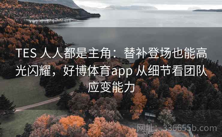 TES 人人都是主角：替补登场也能高光闪耀，好博体育app 从细节看团队应变能力